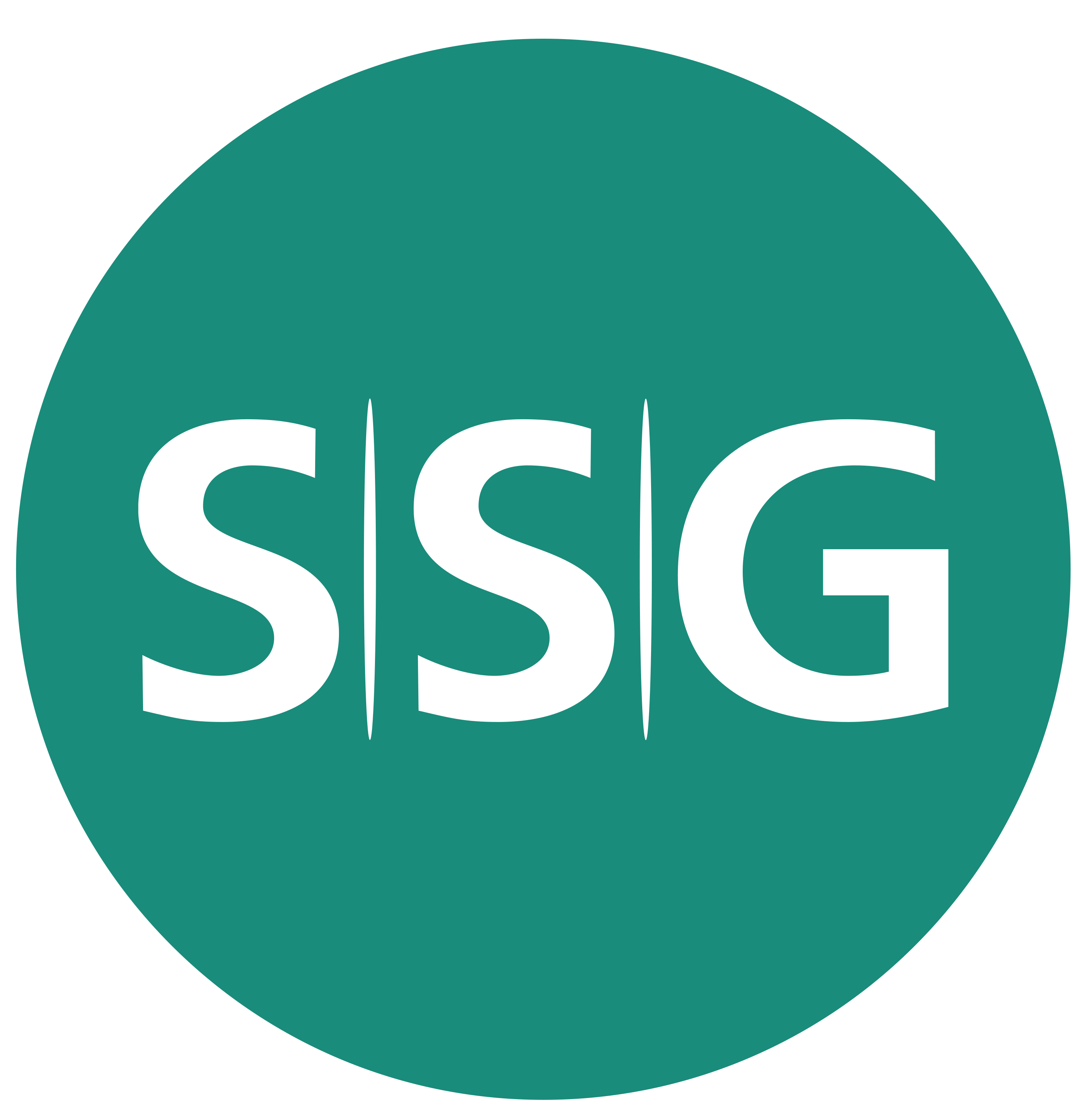 SSG | SAAR SERVICE GESELLSCHAFT